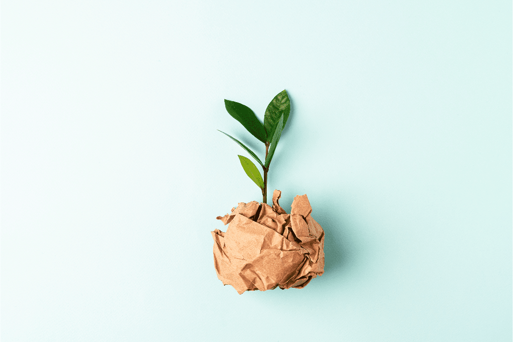 plant growing out of a recycled paper